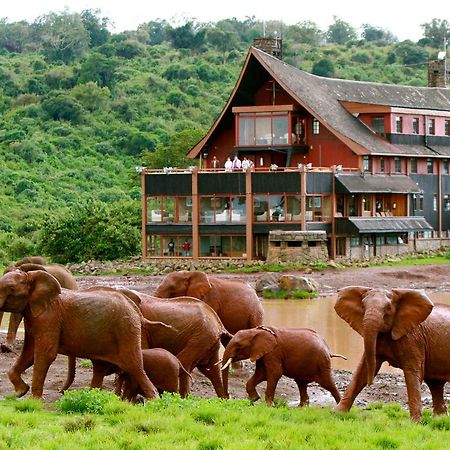 The Ark Lodge Nyeri Exteriör bild