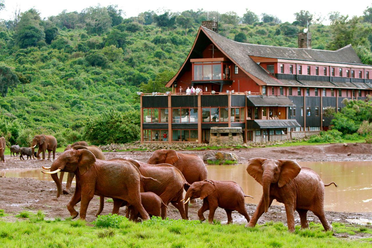 The Ark Lodge Nyeri Exteriör bild