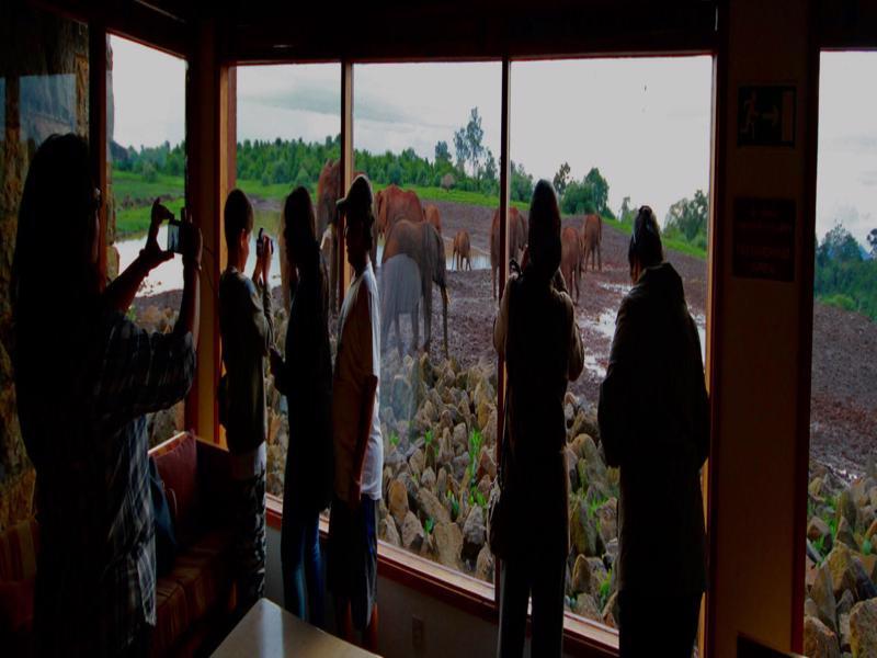 The Ark Lodge Nyeri Exteriör bild